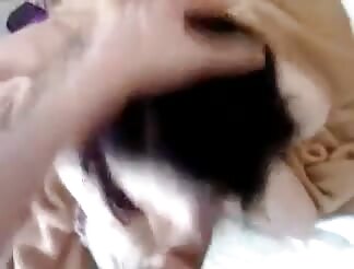 She blows my rod while watching up 