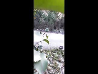 Slut gets fucked while hiking in the mountains