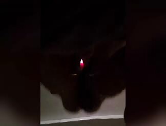 Levrette vue de dessous