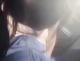 Car BJ