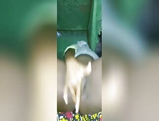 Bbw black pussy squirting 
