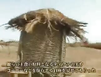 Japanese documentarist stuffed in deep Africa 